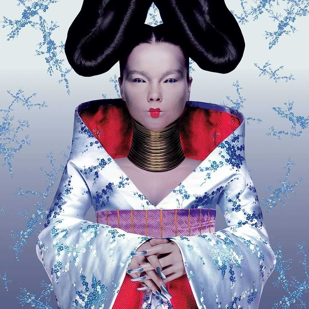 bjork-homogenic-2