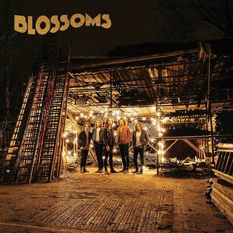 blossoms-blossoms