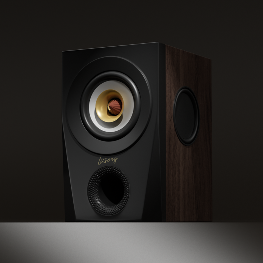 Un par de parlantes estilo Bookshelf Full Range Speaker Pasivos | Lii Song CHE-5