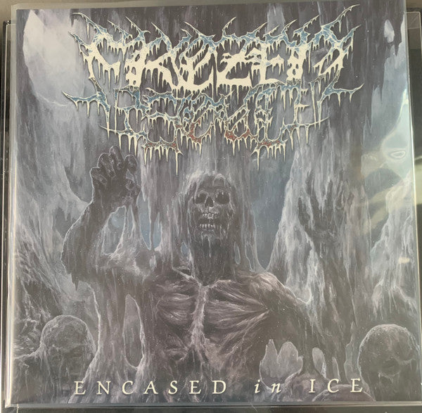 Frozen Soul – Encased in Ice - EP (Re-issue 2021/Black Ice Vinyl/Poster) 🇺🇸