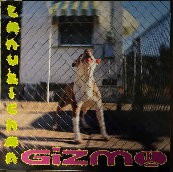 Tanukichan – Gizmo 🇺🇸