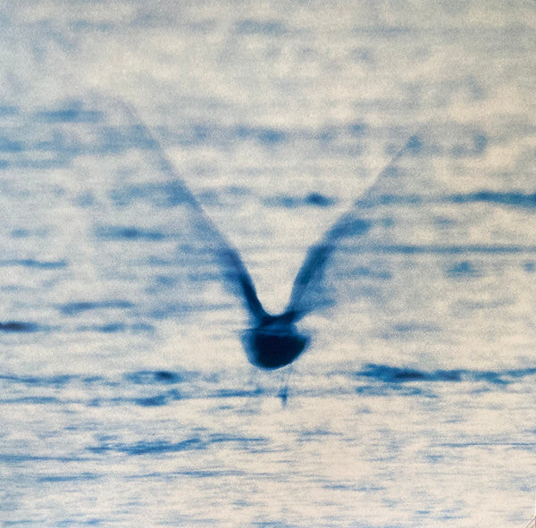 Ryo Fukui – Mellow Dream (140G) 🇺🇸