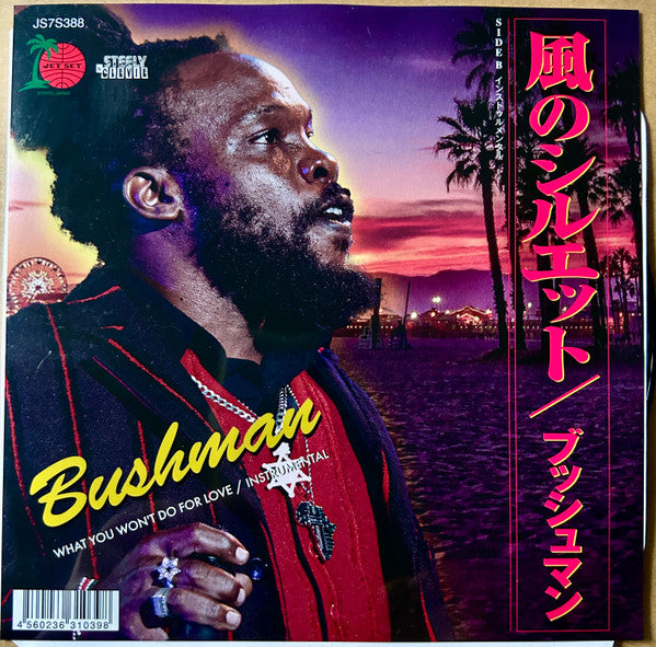 Bushman – What You Won't Do for Love 🇺🇸