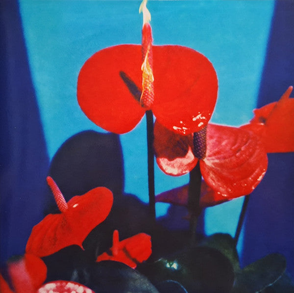 Inhaler – Open Wide (Red Marble Vinyl/Alternative Artwork) 🇺🇸