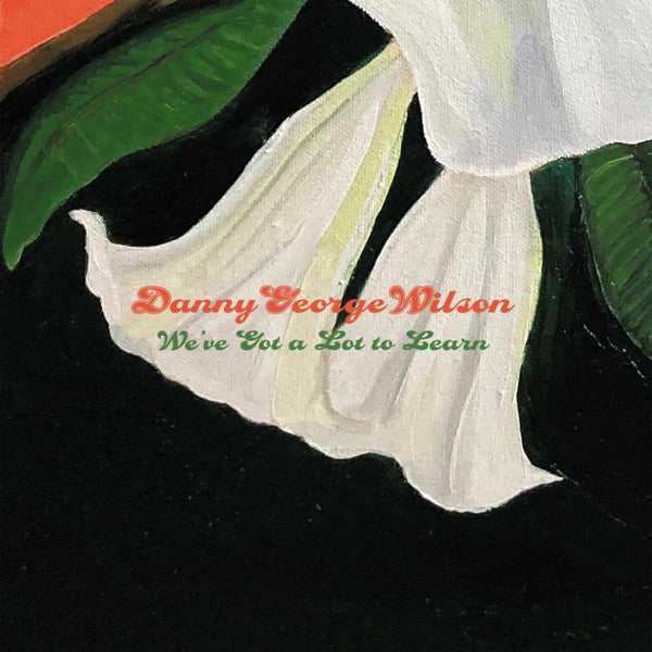 Danny George Wilson – We've Got a Lot to Learn 🇺🇸