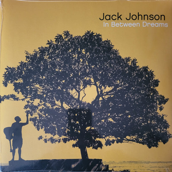 Jack Johnson – In Between Dreams 🇺🇸