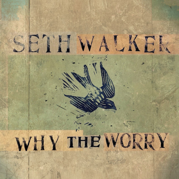 Seth Walker – Why the Worry 🇺🇸