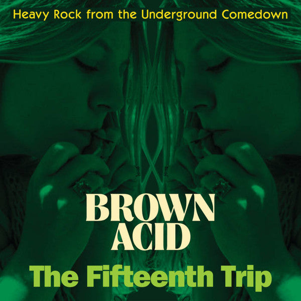 Various Artists – Brown Acid: the Fifteenth Trip 🇺🇸