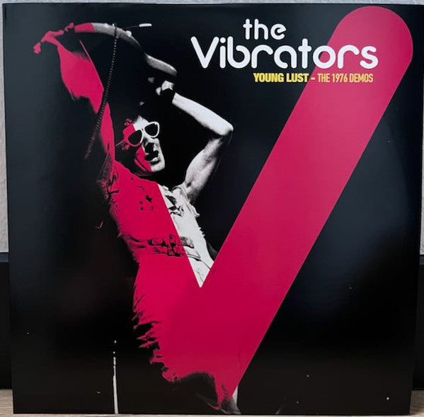 Vibrators – Demos 1976 (Splatter Vinyl) 🇺🇸