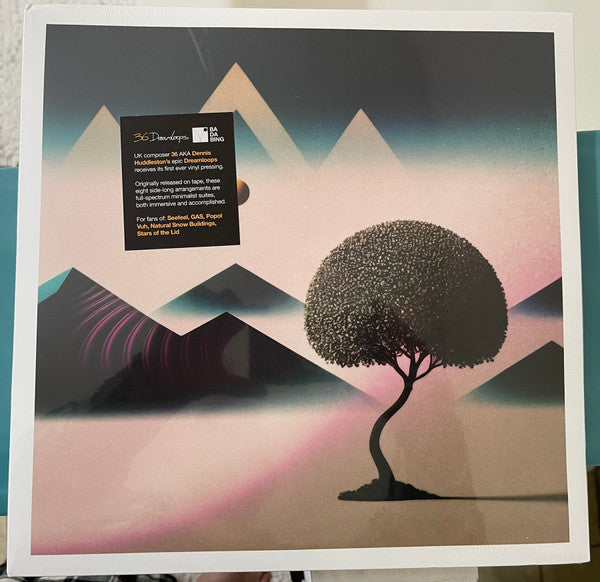 36 – Dreamloops (4LP) 🇺🇸