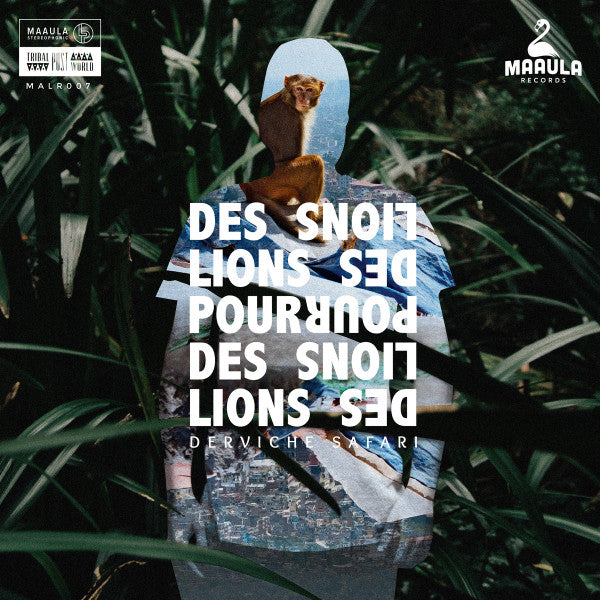 Des Lions Pour Des Lions – Derviche Safari 🇺🇸