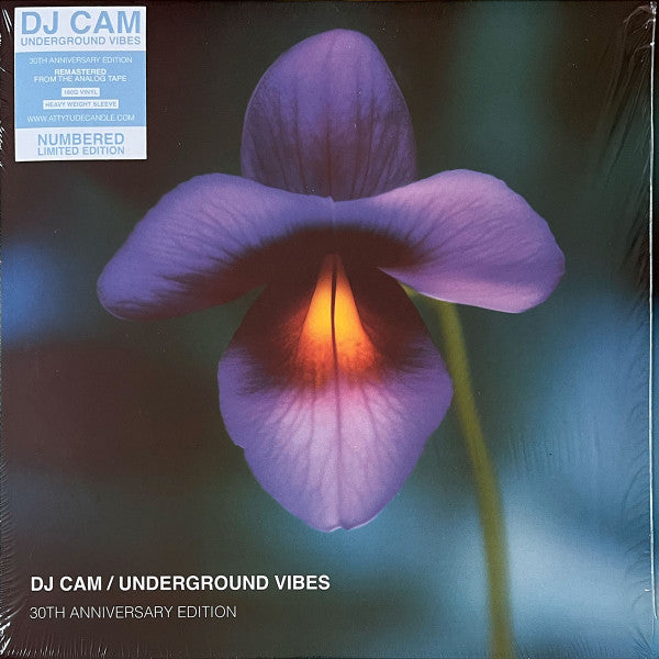 Dj Cam – Underground Vibes (30Th Anniversary) 🇺🇸