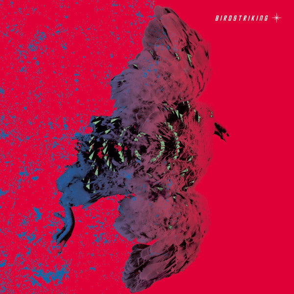 Birdstriking – Birdstriking (2LP) 🇺🇸