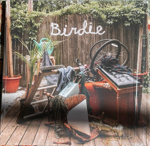 Dog Slaughter Beach – Birdie 🇺🇸