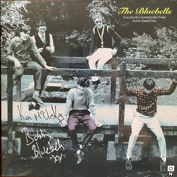 Bluebells – Everybody's Somebody's Fool 🇺🇸