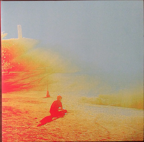 Flaming Lips – Terror 🇺🇸