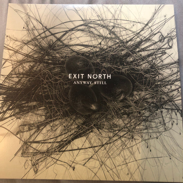 Exit North – Anyway, Still (180G/2LP) 🇺🇸