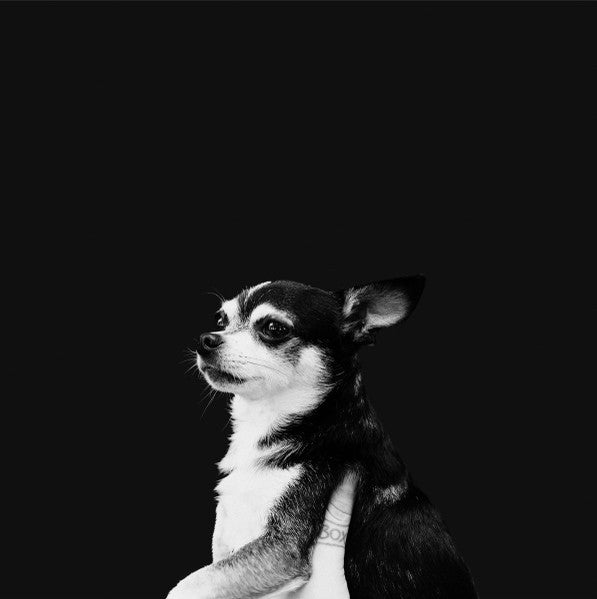 & the Kids – When This Life is Over (DL) 🇺🇸