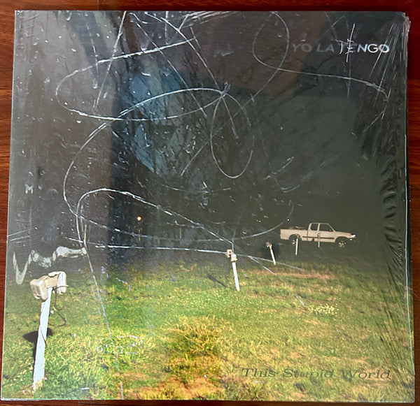 Yo La Tengo – This Stupid World 🇺🇸