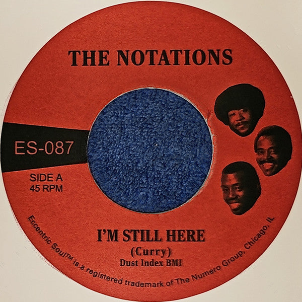 Notations – I'm Still Here B/W What More Can I Say (White 7INCH) 🇺🇸