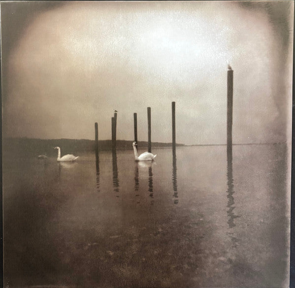 Om – Conference of the Birds 🇺🇸
