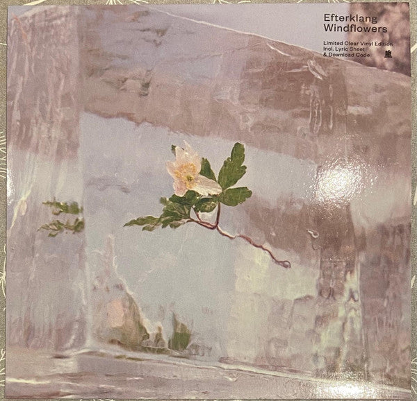 Efterklang – Windflowers (Clear Vinyl/140G) 🇺🇸