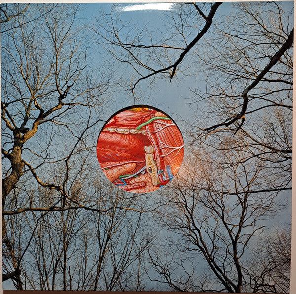 They Might Be Giants – Glean (Clear W/ Red Whisps Vinyl) 🇺🇸
