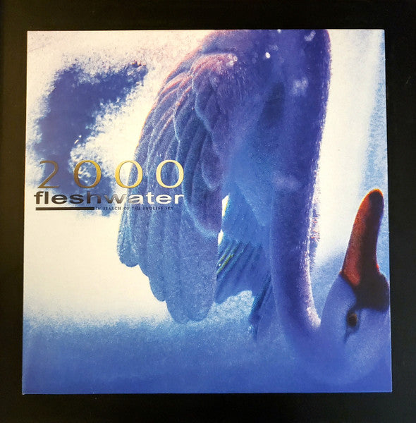 Fleshwater – 2000: in Search of the Endless Sky (Metallic Blue Vinyl) 🇺🇸
