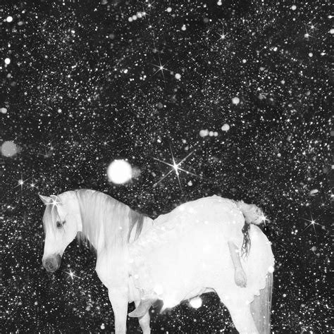 Black Lips – Apocalypse Love 🇺🇸