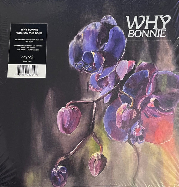 Why Bonnie – Wish on the Bone 🇺🇸