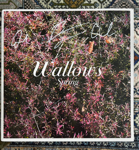 Wallows – Spring EP (X) (Pink & Green Vinyl) 🇺🇸