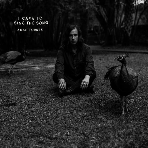 Adam Torres – I Came to Sing the Song 🇺🇸