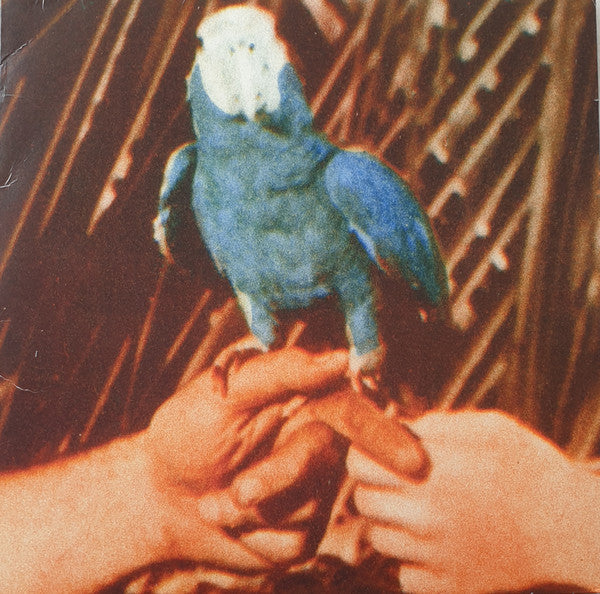 Andrew Bird – Are You Serious 🇺🇸