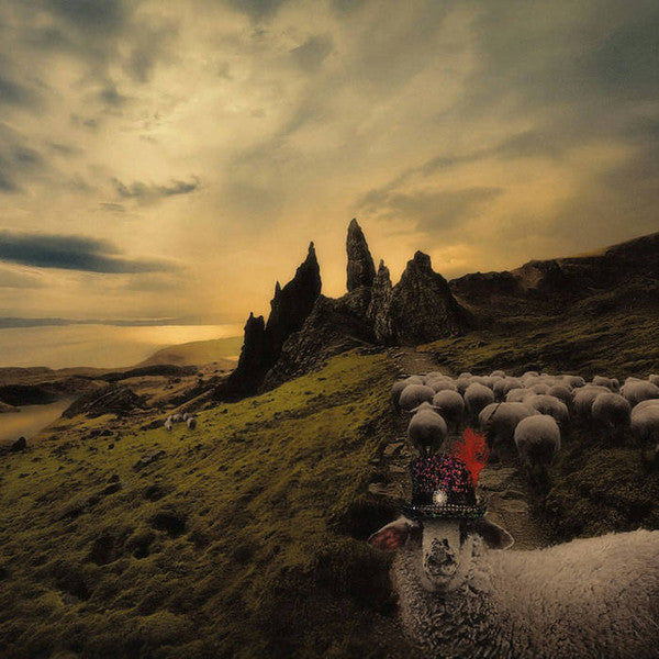 Franck Carducci – Sheeple 🇺🇸