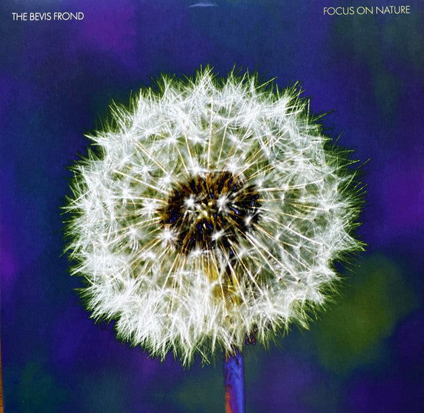 Bevis Frond – Focus on Nature (2LP) 🇺🇸