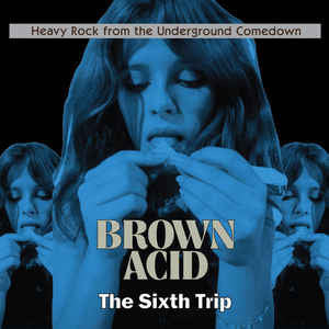 Various Artists – Brown Acid: the Sixth Trip 🇺🇸