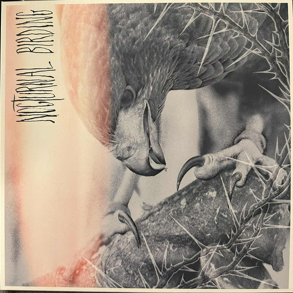 Author & Punisher – Nocturnal Birding (Custom Merge Vinyl) 🇺🇸
