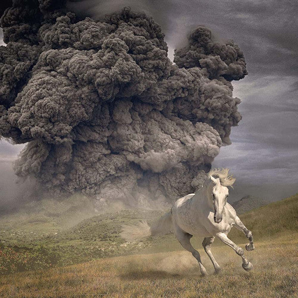 White Buffalo – Year of the Dark Horse 🇺🇸