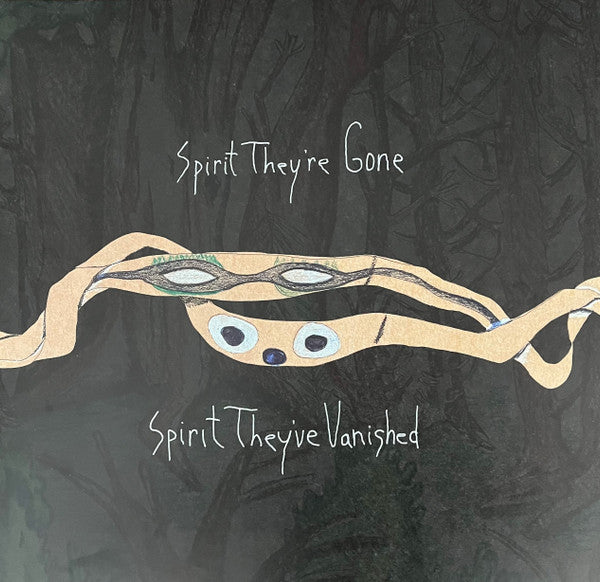 Animal Collective – Spirit They're Gone, Spirit They've Vanished (2LP) 🇺🇸