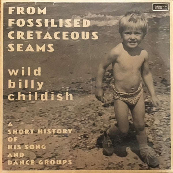 Billy Childish – From Fossilised Cretaceous Seams: a Short History of His Song & Dance Groups (2LP) 🇺🇸