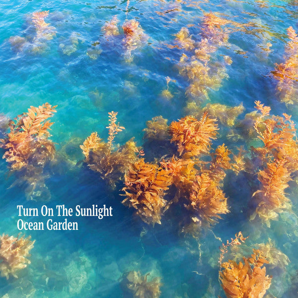 Turn on the Sunlight – Ocean Garden 🇺🇸