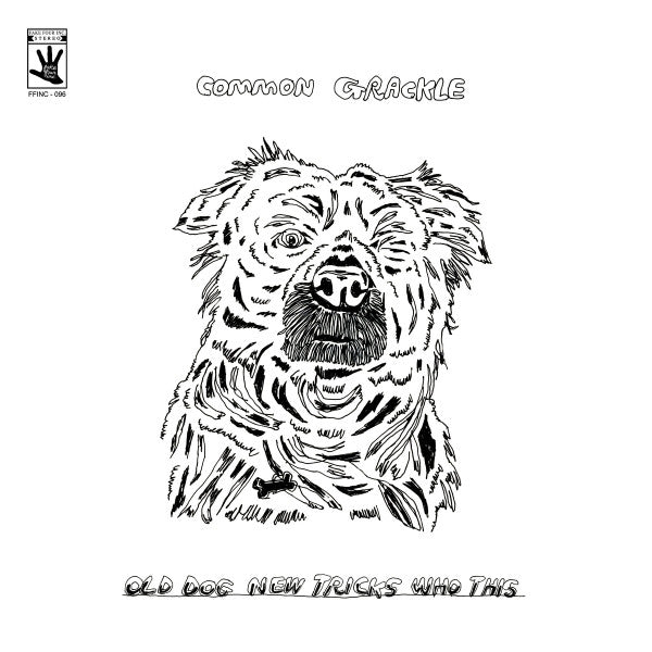 Common Grackle – Old Dog New Tricks Who This (Dl Card) 🇺🇸