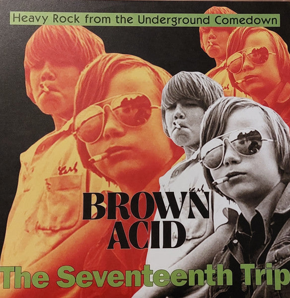 Various Artists – Brown Acid - the Seventeenth Trip 🇺🇸