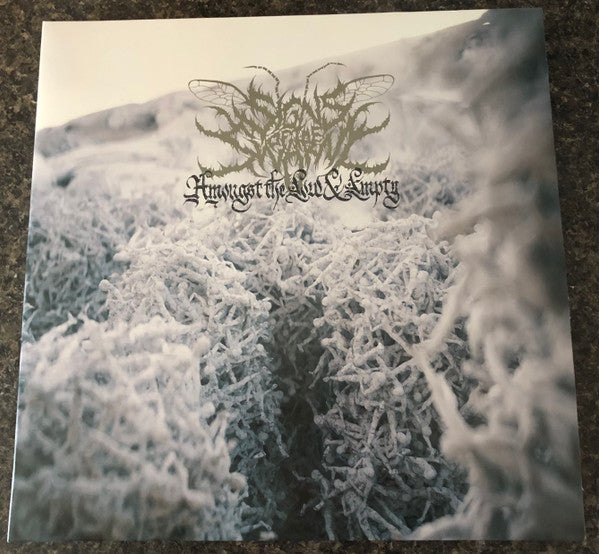 Signs of the Swarm – Amongst the Low & Empty (Gatefold Aqua Vinyl) 🇺🇸