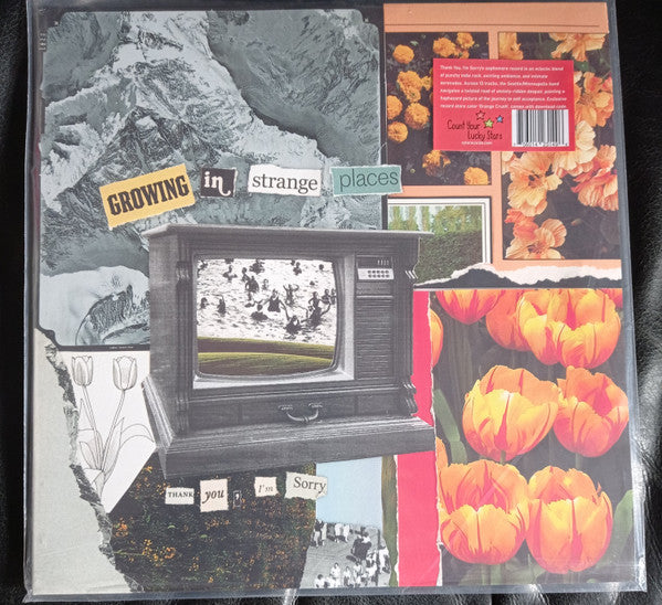 I'm Sorry Thank You – Growing in Strange Places (Orange Crush Vinyl) 🇺🇸