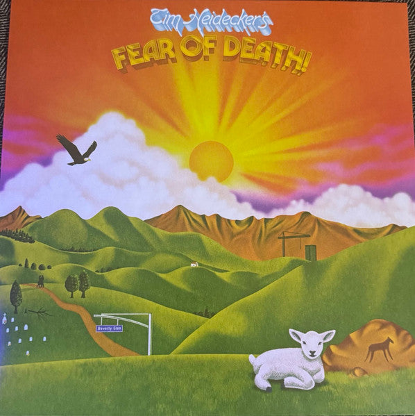 Tim Heidecker – Fear Of Death (Golden Sunset Vinyl) 🇺🇸