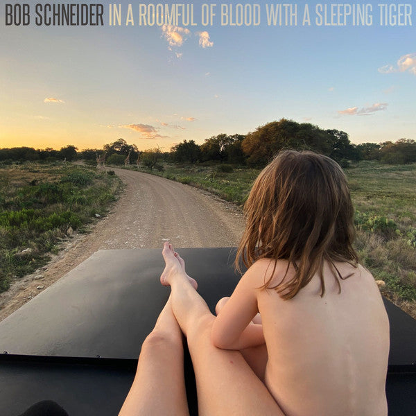 Bob Schneider – In a Roomful of Blood with a Sleeping Tiger 🇺🇸