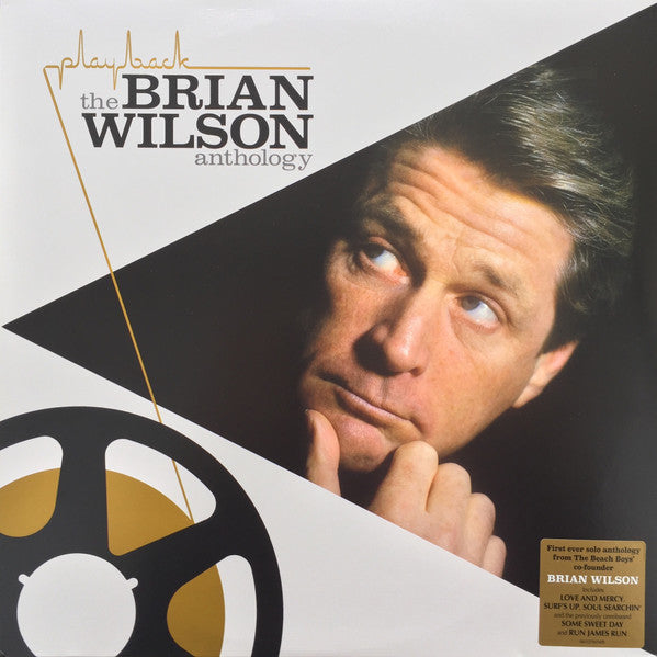Brian Wilson – Playback:the Brian Wilson 🇺🇸