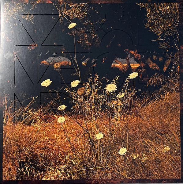 Szun Waves – Earth Patterns (Brown Smoke Vinyl) (I) 🇺🇸