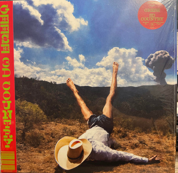 Geese – 3D Country (Crystal Clear Vinyl) 🇺🇸